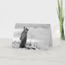Suche nach eichhörnchen karten Wildtier