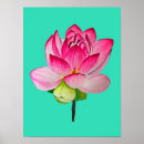 Suche nach rosa aquarell poster Aquarellfarben blume