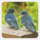 Recherche de hirondelle grange autocollants Nature