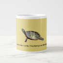 Recherche de glissière maison deco Tortue