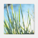 Recherche de lame magnets Herbe