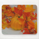 Suche nach kürbise mousepads Fotografie