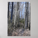 Suche nach barber poster Fotografie