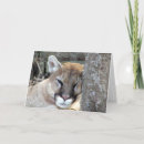 Recherche de cougar vœux cartes Lion de montagne