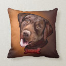Suche nach retrieverhund Labrador