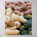 Recherche de courge posters Nourriture