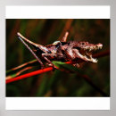 Recherche de fusée posters Drôle