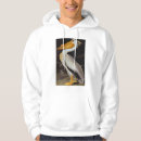 Recherche de audubon Peinture d'oiseaux