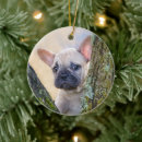 Recherche de petit chien ornements Pour elle