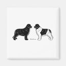 Recherche de chien terre neuve magnets Noir