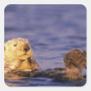 Suche nach seeotter aufkleber Monterey
