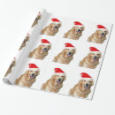 Suche nach golden retriever geschenkpapier Geschenkpackung