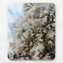 Recherche de magnolia tapis souris Fleurs