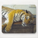 Suche nach thailändisch mousepads Asien