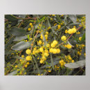 Suche nach sträucher poster Blumen