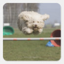 Suche nach agility aufkleber Vitalität