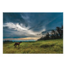 Recherche de beaux paysages posters Animaux
