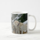 Recherche de siffleur tasses Chien