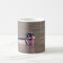 Recherche de volaille tasses Canards