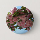 Suche nach frühjahr buttons Blume