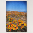 Recherche de californie puzzles Extérieur