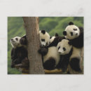 Recherche de province vœux cartes Animal