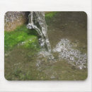 Recherche de algues tapis souris Photographie