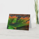 Suche nach breite karten Grün