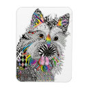 Recherche de adopté magnets Dog