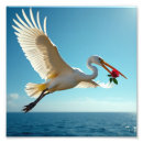 Suche nach seltene poster Bild