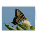 Suche nach lepidoptera Gelb