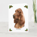 Suche nach irish setter karten Xmas