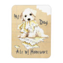Suche nach bichons wohnen zuhause Bichon frise