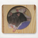 Suche nach extravagante ratte Maus