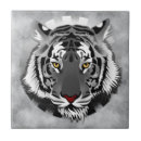 Recherche de tigre blanc carreaux Gros chats