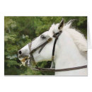 Suche nach pferdekarte Reiten