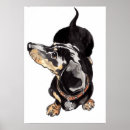 Suche nach sausage poster Dachshund
