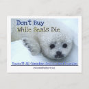 Suche nach seals postkarten Animal