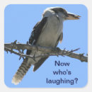 Suche nach australischer vogel aufkleber Königsfischer