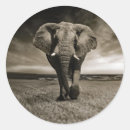 Recherche de wildlife party autocollants Faune