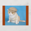 Suche nach chubby postkarten Katze