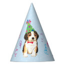 Recherche de teckel chapeaux Chien