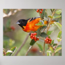 Suche nach migration poster Farbe