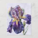 Recherche de iris cartes postales Été
