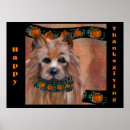 Suche nach yorkie poo kunst Weihnachten