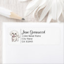 Recherche de bichon frisé Adresse
