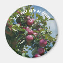 Recherche de arbre refrigérateur magnets Pour elle