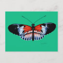 Recherche de peinture papillon cartes postales Papillons