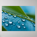 Suche nach wasser pflanze poster Blatt