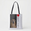 Recherche de de great dane Amoureux des chiens